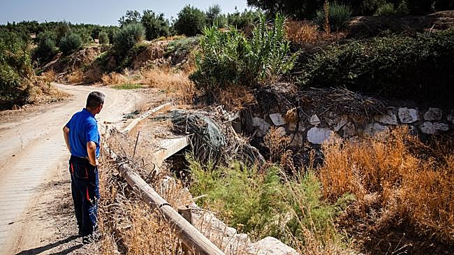Imagen después - Estado del barranco de las Ramblas en 2024