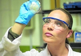 Farmacia tendrá candidata a decana tras no haber aspirante en un primer intento.