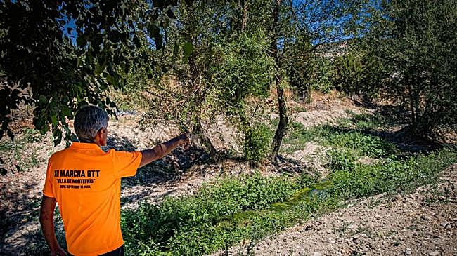 Imagen antes - Estado del arroyo Milanos 2024