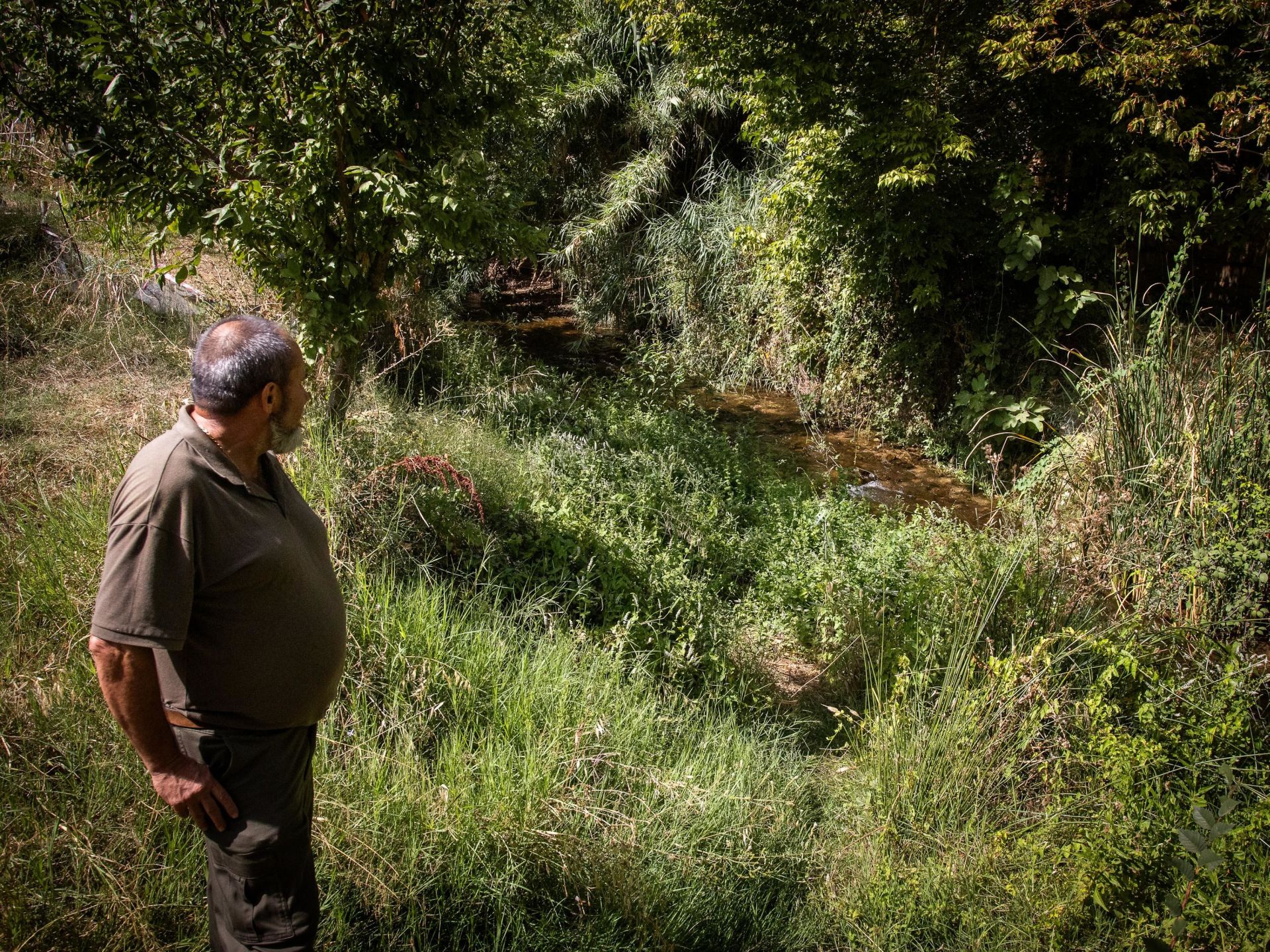 Imagen después - Estado del arroyo Salado 2024