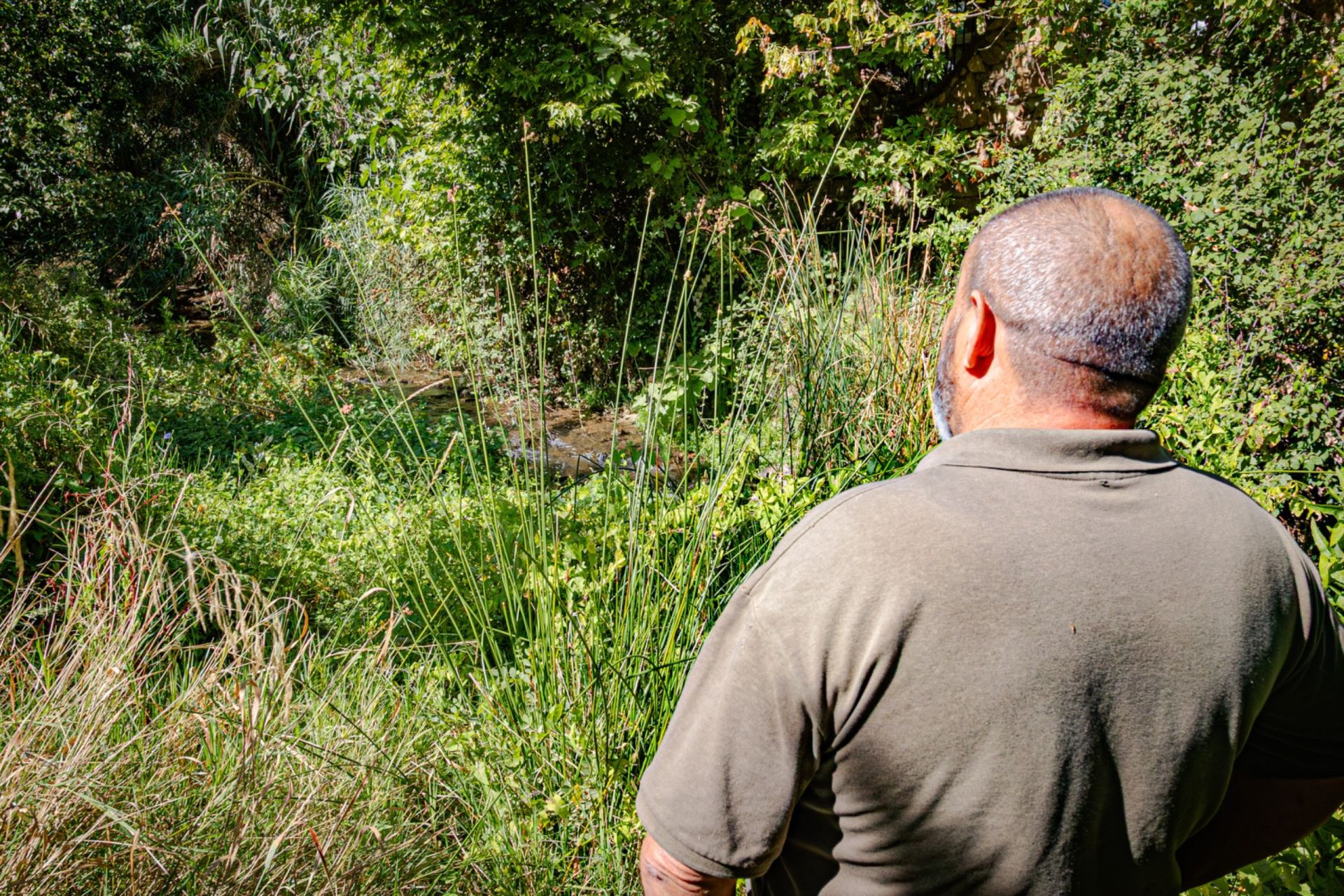 Imagen antes - Estado del arroyo Salado 2024