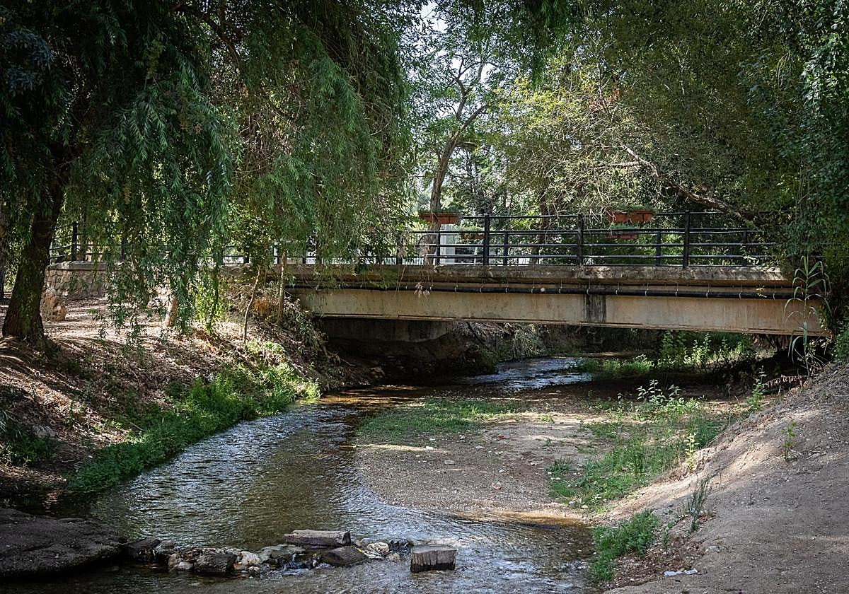 El arroyo Salado a su paso por Riofrío
