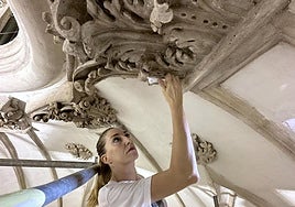 María Isabel Alba Fernández de Moya ha dirigido los trabajos.