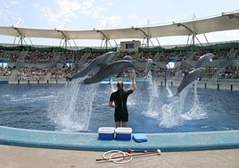 Verdiblanca invita a los almerienses con discapacidad a inscribirse en 'Ecoturismo'
