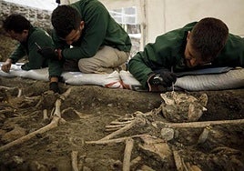 Sesgo de confirmación