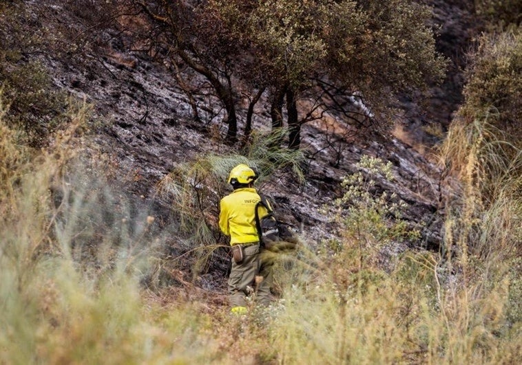 Apuntan a tres menores «jugando con un mechero» como presuntos autores del incendio de la Fuente de la Bicha