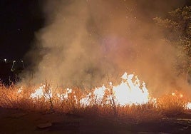 Incendio en un descampado entre Granada y Maracena.