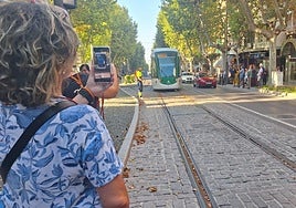 El tranvía, circulando por las calles de la capital en su recorrido completo.
