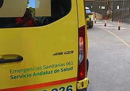 Atropello a una mujer de 70 años en la calle Alhamar.