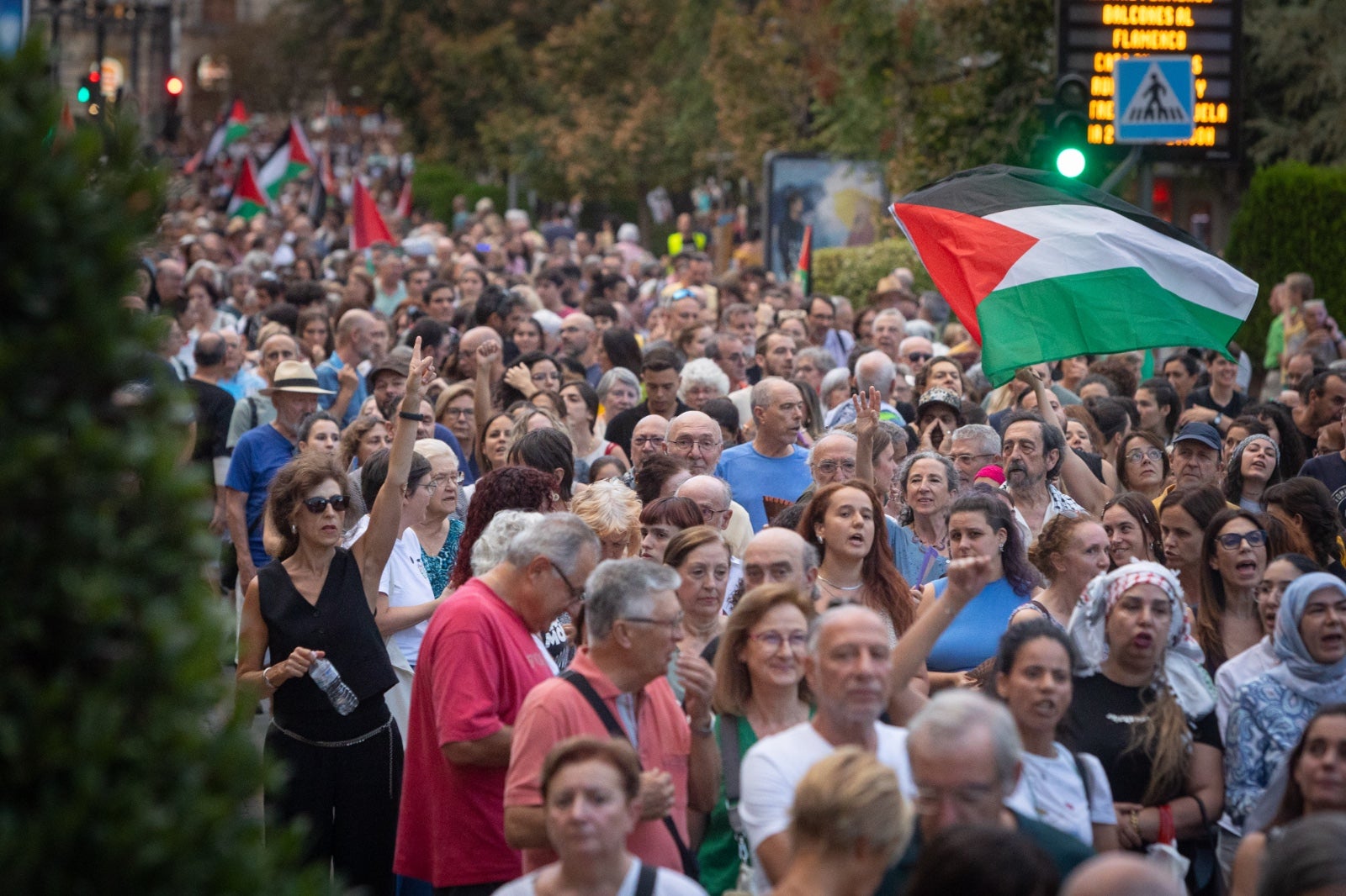Las imágenes de la marcha en Granada contra el genocidio en Gaza