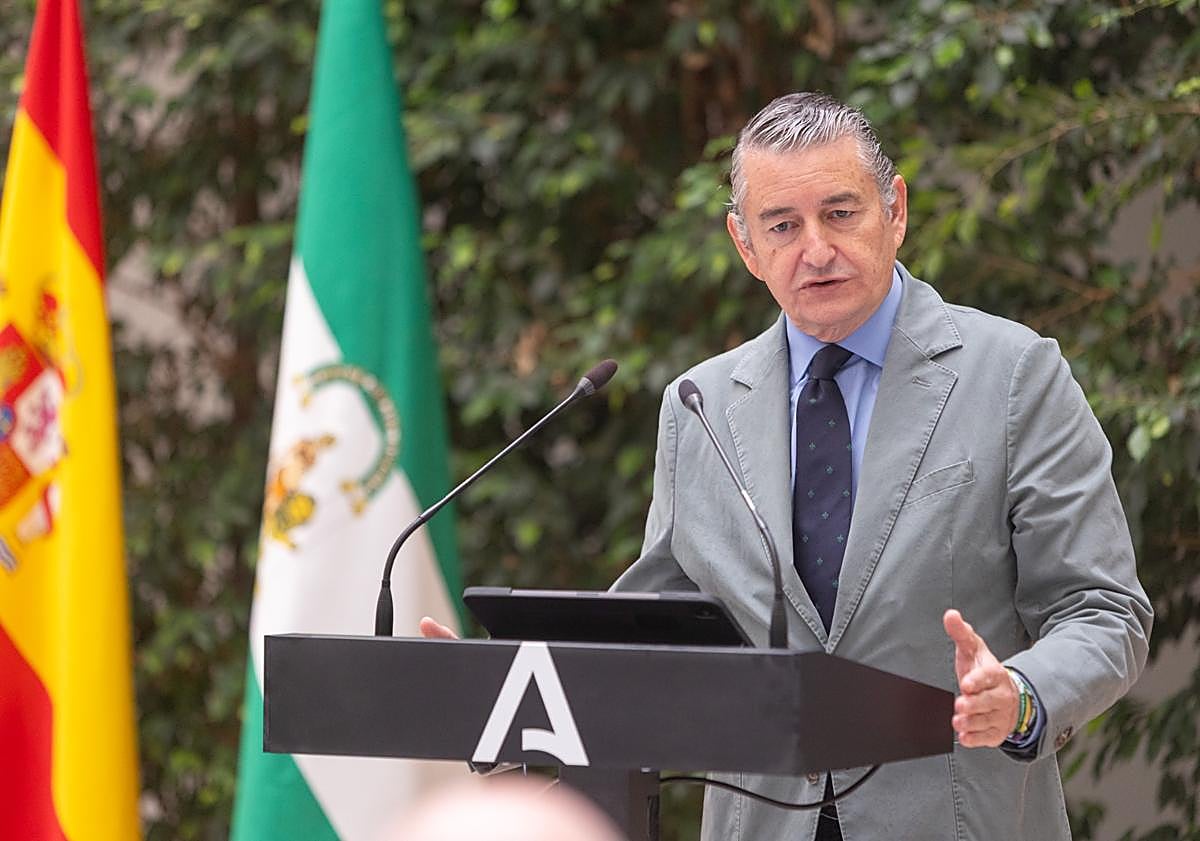 Imagen principal - Antonio Sanz, Marifrán Carazo y Pedro Mercado durante sus intervenciones.