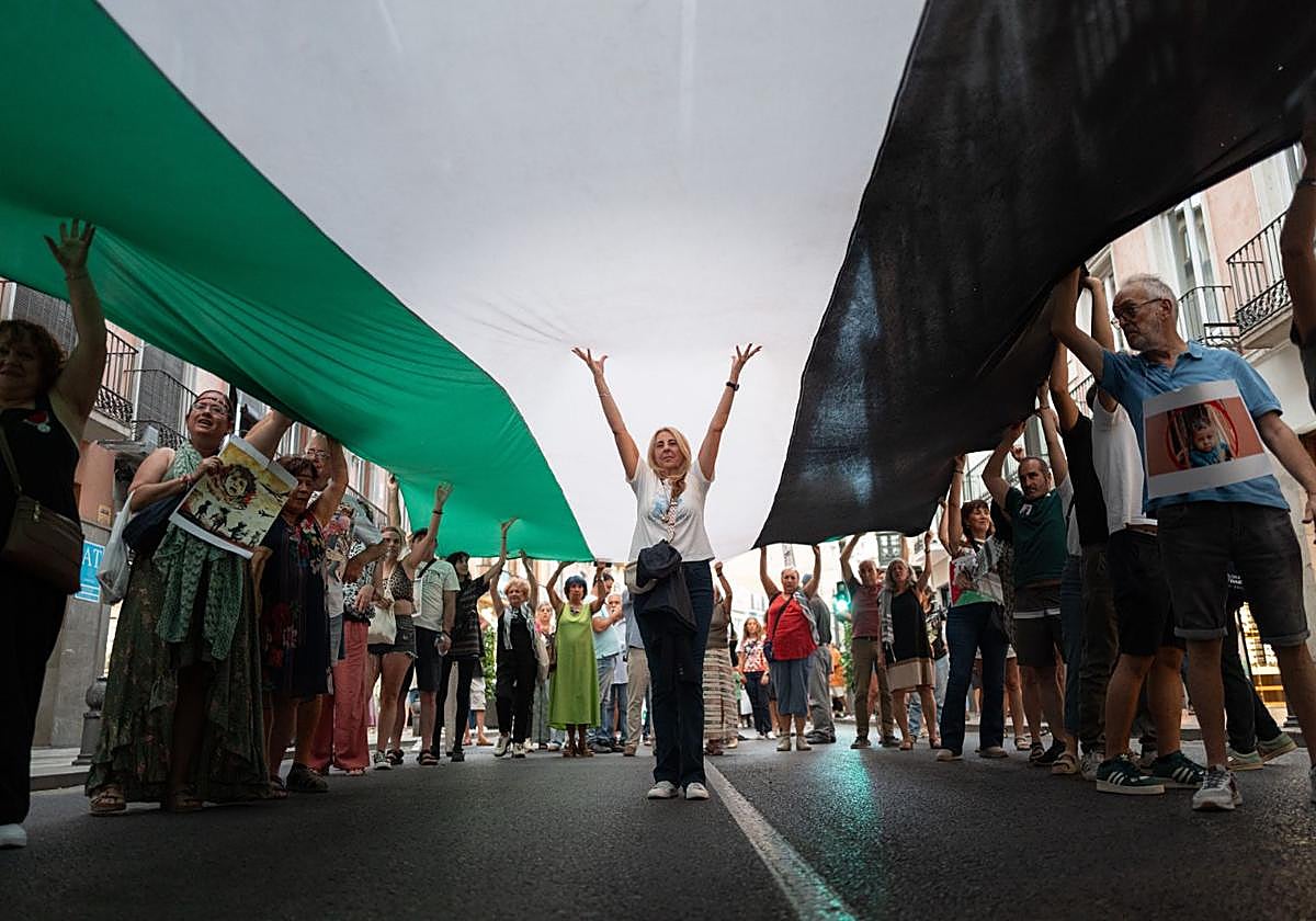 Manifestación pro palestina, ayer, en Granada