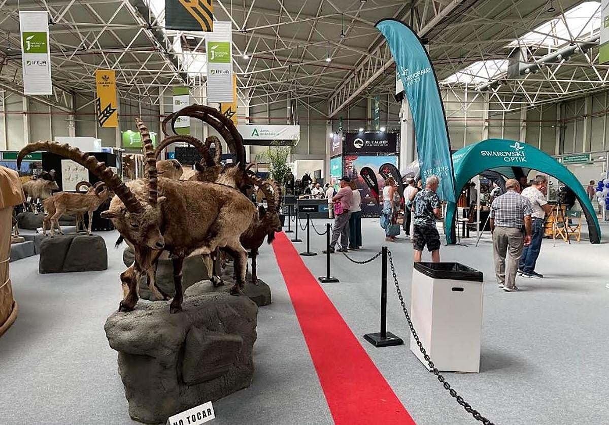 Inauguración de Ibercaza en Ifeja.