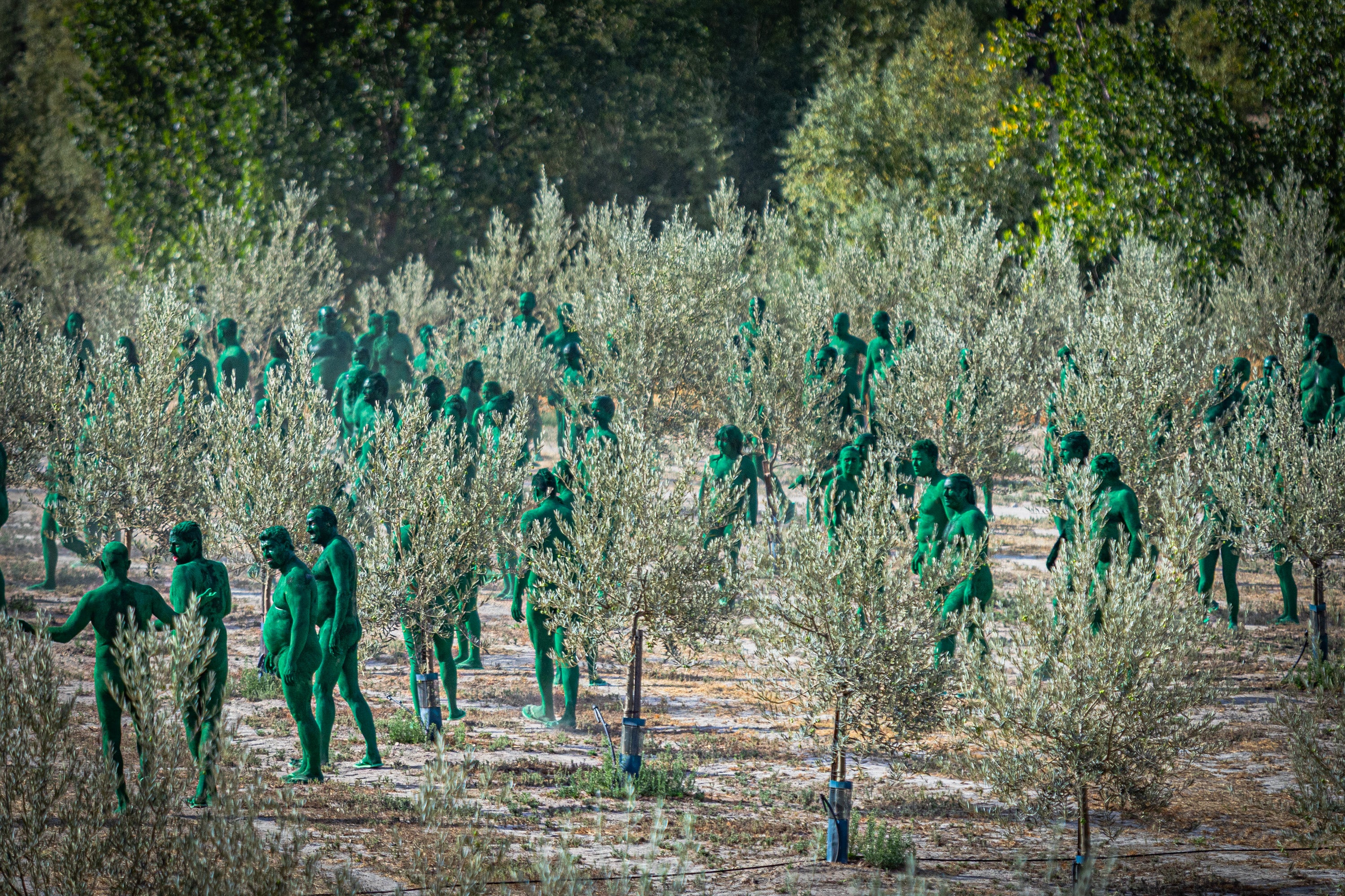 Las imágenes de los desnudos verdes en Granada