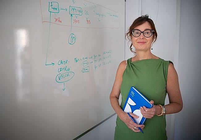 Olga Muñoz, directora del Laboratorio de Polvo Cósmico del IAA.