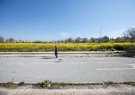 Un hombre pasea con su mascota junto a los terrenos del Palacio de Hielo.