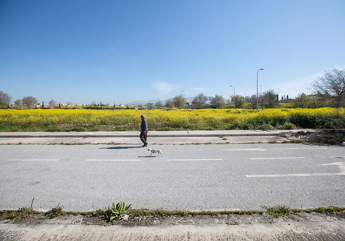 Un hombre pasea con su mascota junto a los terrenos del Palacio de Hielo.