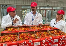 El consejero de Agricultura en la cooperativa La Palma.