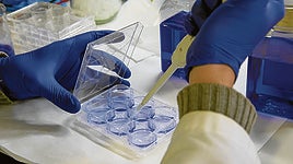 Elaboración de un fármaco para tratar el cáncer.