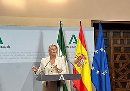 Carolina España, en su comparecencia de este miércoles.