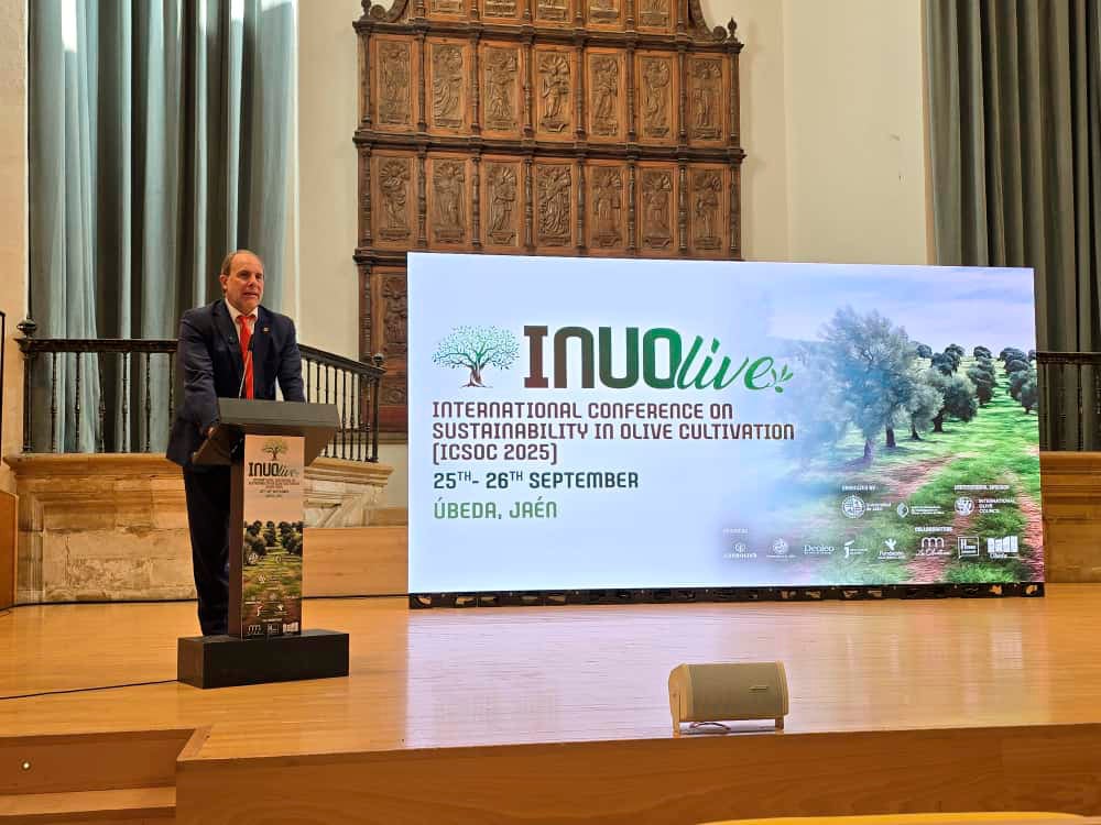 El rector de la UJA, Nicolás Ruiz.
