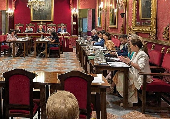 Las dos diputadas de Vox, a la derecha, en un pleno anterior del Ayuntamiento de Granada..