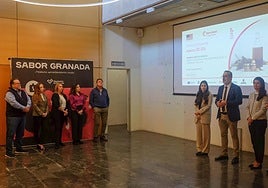 Una acción conjunta de promoción exterior de Cámara Granada y la Diputación provincial