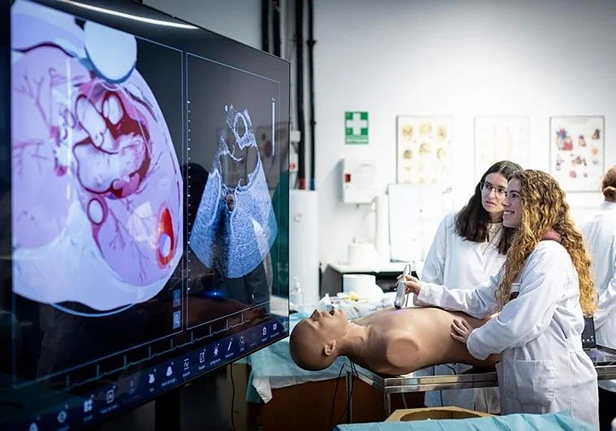 Andalucía, la comunidad más barata del país para estudiar Medicina y Enfermería
