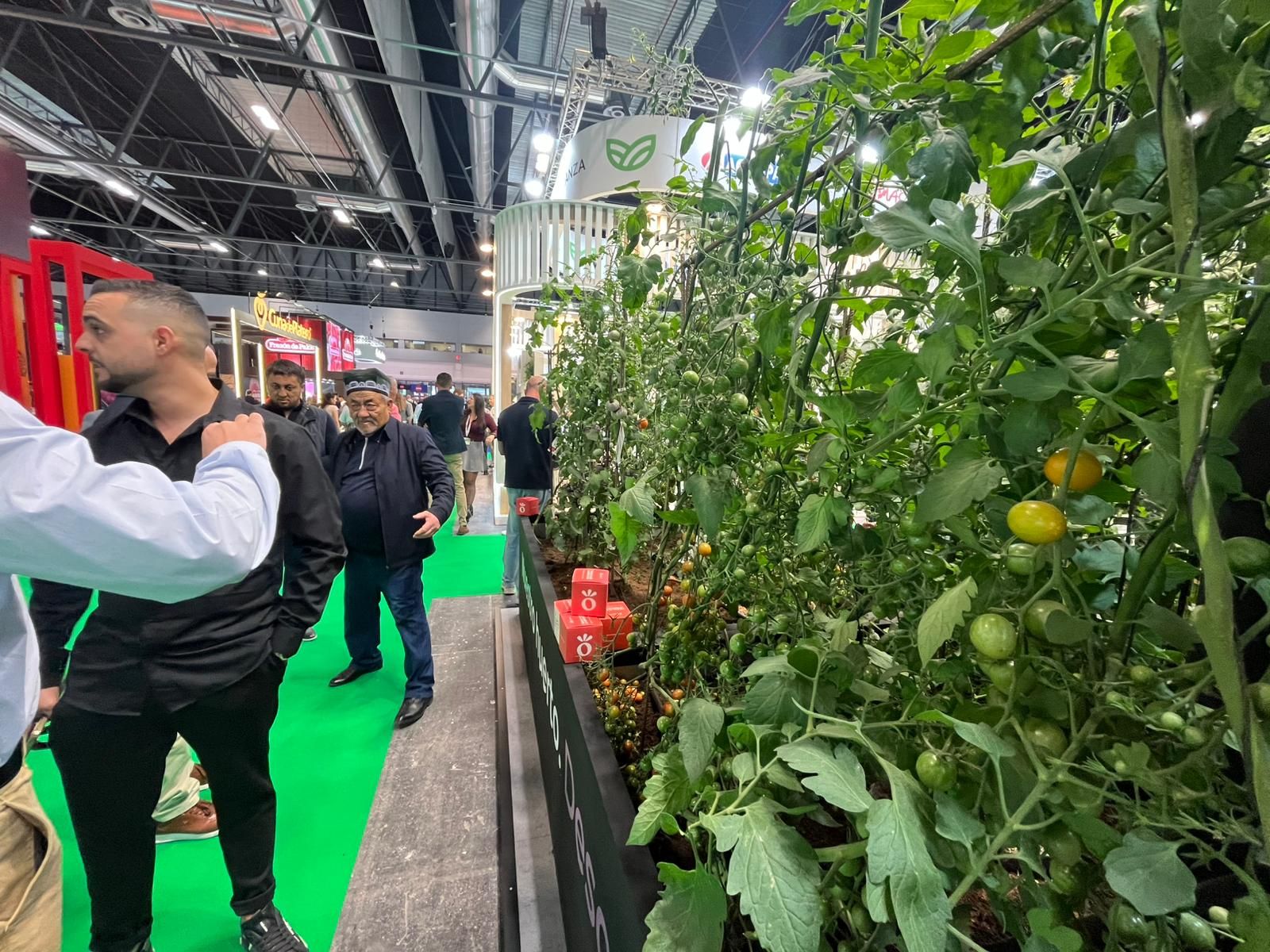 Almería se viste para el mejor escaparate de la agricultura, en Madrid