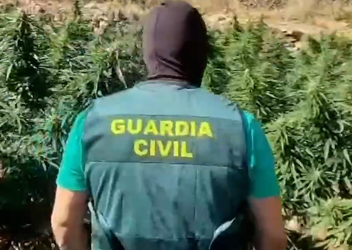 Imagen secundaria 1 - Cae una red albanesa dedicada al tráfico de drogas en Roquetas de Mar