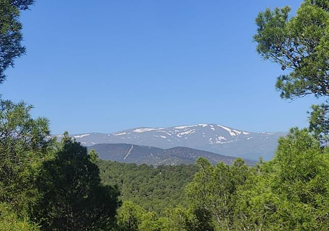 Paisaje forestal en el Parque Nacional de Sierra Nevada desde el puerto de La Ragua