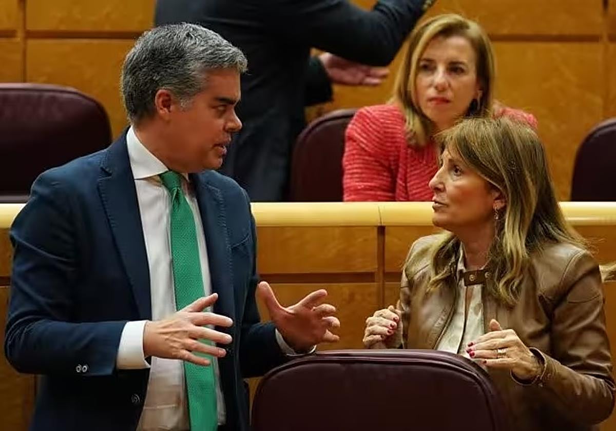 Los senadores del PP Vicente Azpitarte y Eva Martín.