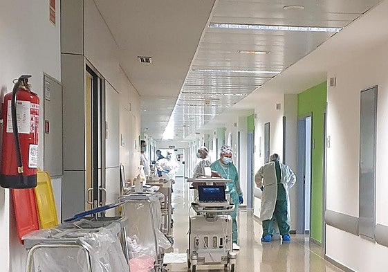 Sanitarios en el hospital Clínico San Cecilio en una imagen de archivo.