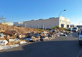 Residuos acumulados en la calle Estaño del Sector 20 de Almería.