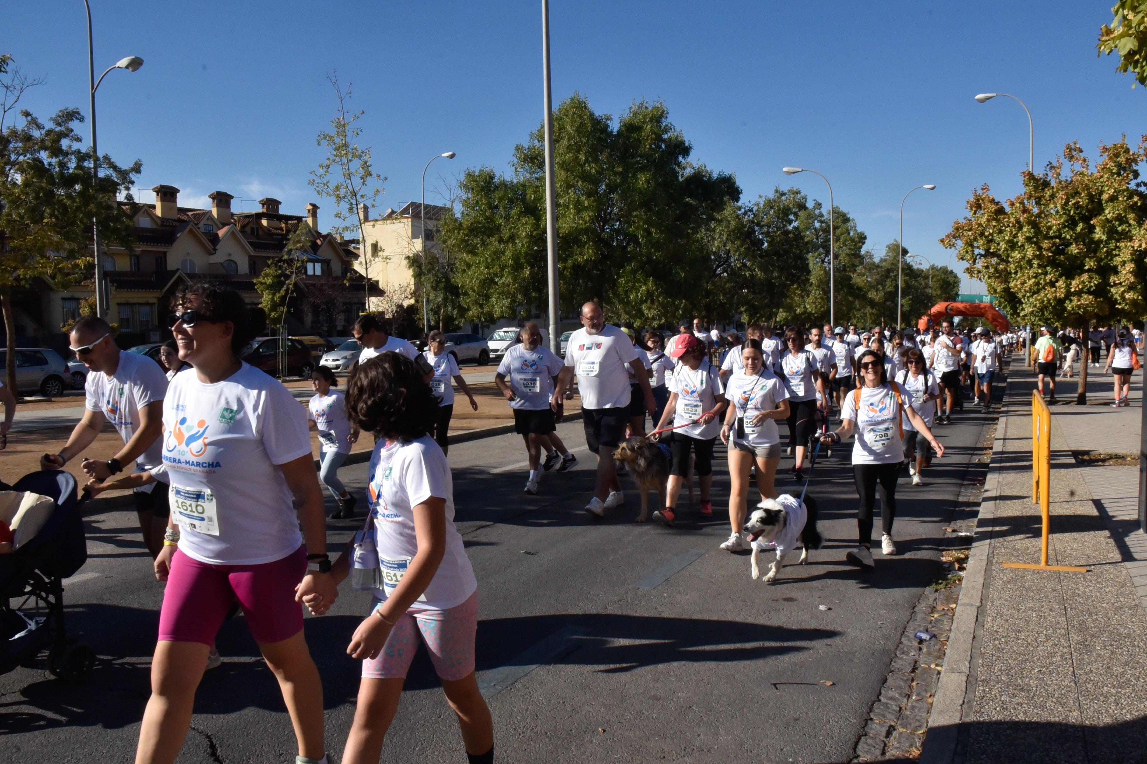 Encuéntrate en la carrera de Aspace en Granada