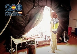 Plantación desmantelada al grupo criminal.