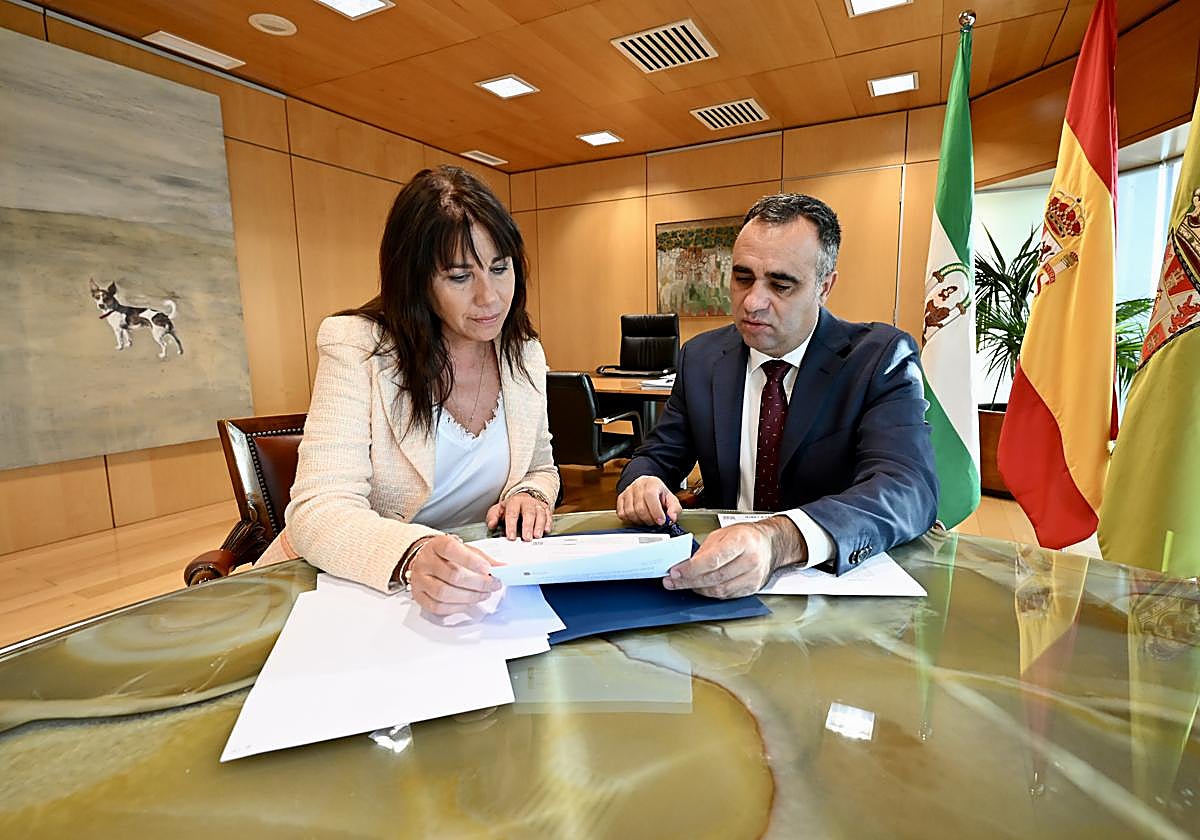 Diputación destina 1,2 millones de euros a sistemas de videovigilancia en municipios con menos de 20.000 habitantes