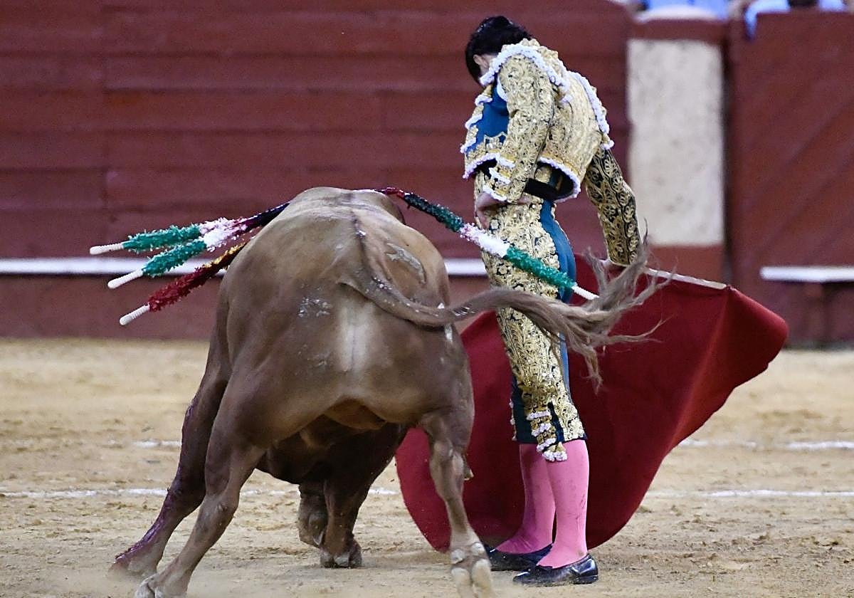 Agauado torea con la derecha al toro de El Pilar, con el que conquista el Capote de Paseo.