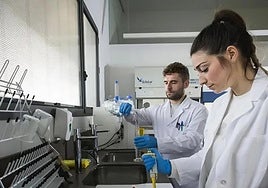 Investigadores de la UGR.