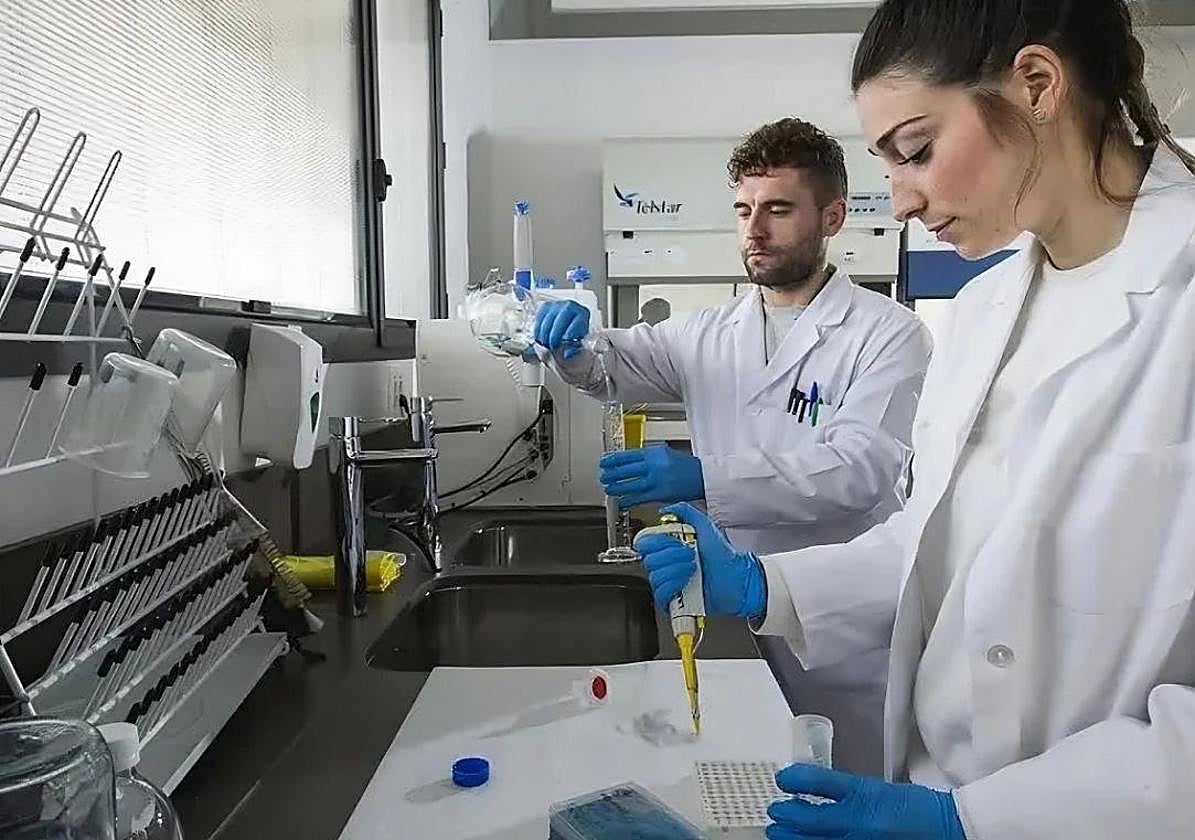 Investigadores de la UGR.