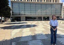 El PP de Almería pide al PSOE que modifique el Código Penal para castigar el fraude eléctrico por organización criminal