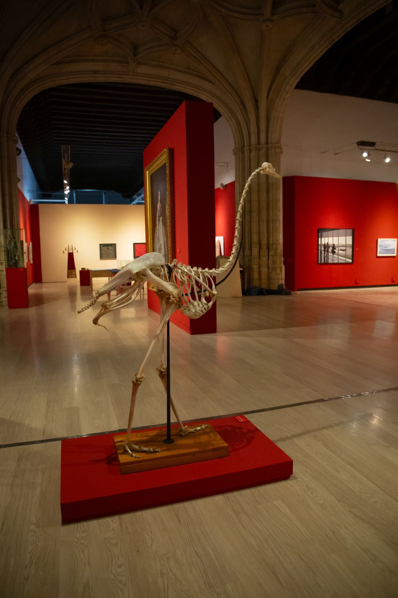 La impresionante exposición con las mejores obras de las universidades de Granada y Sevilla en el Hospital Real