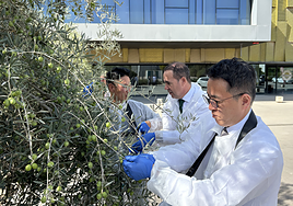 Visita de los representantes de la empresa.