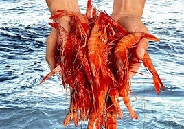 Garrucha se viste de rojo para rendir homenaje a su gamba