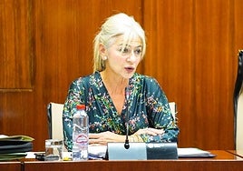 La consejera Patricia del Pozo, en una imagen de archivo.