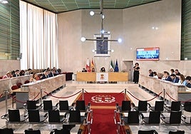 El Ayuntamiento de Almería aprueba una declaración institucional en apoyo a la salud mental