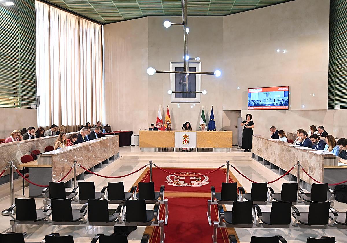 El Ayuntamiento de Almería aprueba una declaración institucional en apoyo a la salud mental