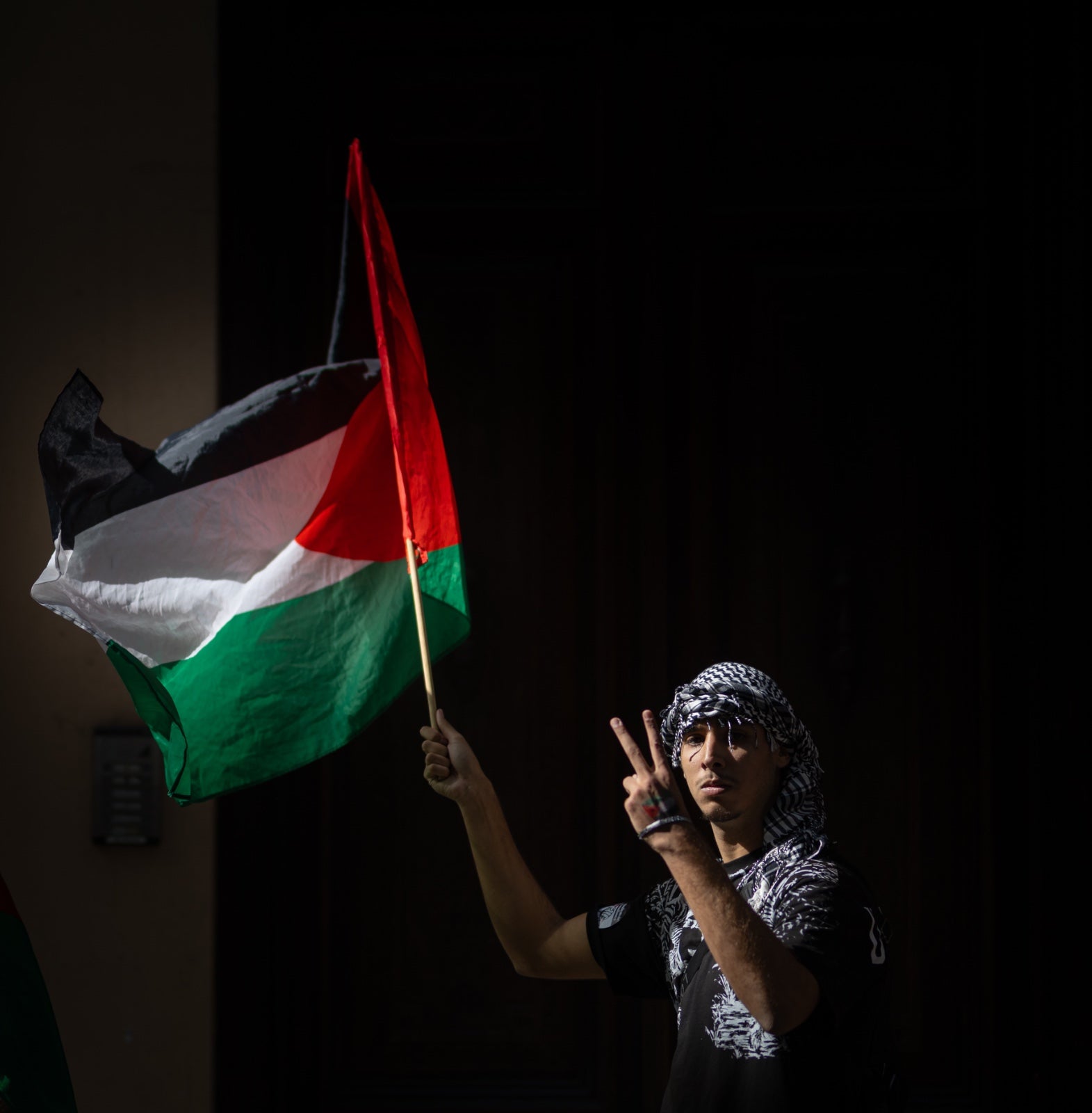 Las imágenes de la manifestación en Granada por Palestina