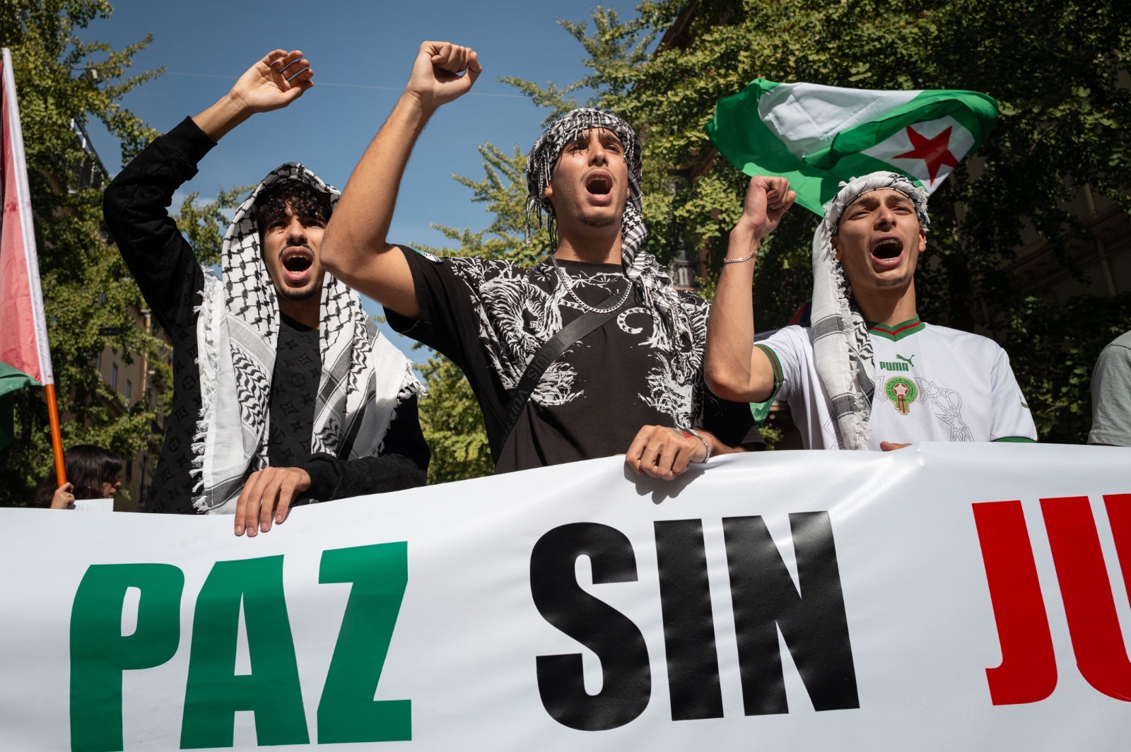 Las imágenes de la manifestación en Granada por Palestina