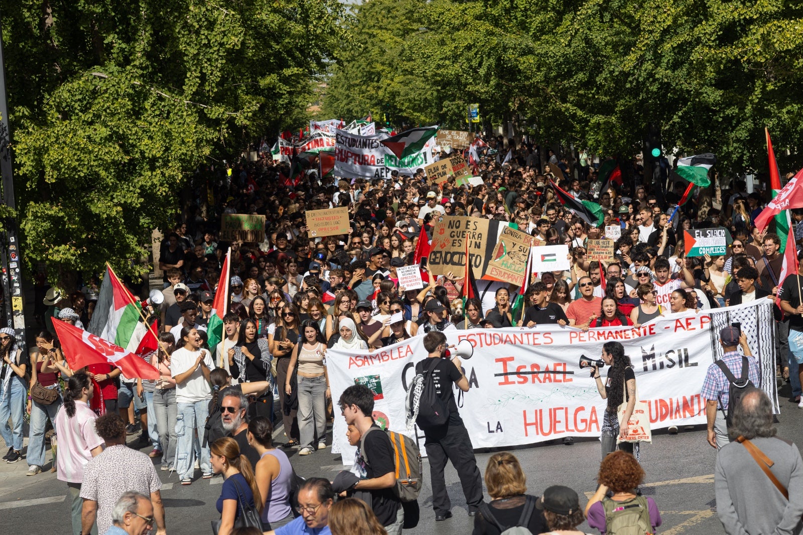 Las imágenes de la manifestación en Granada por Palestina